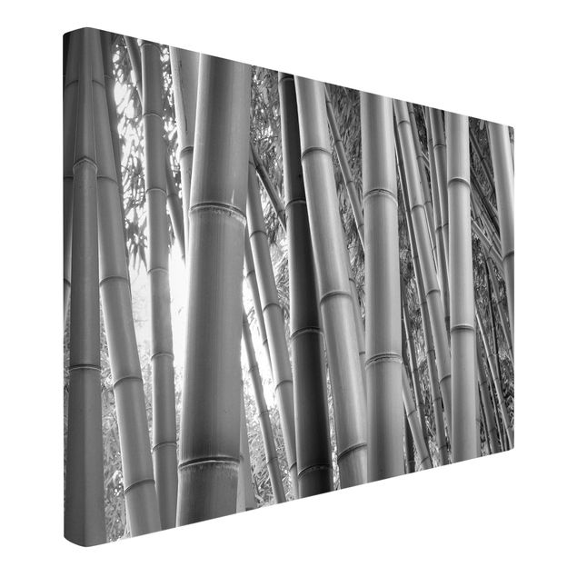 Quadro alberi Bamboo