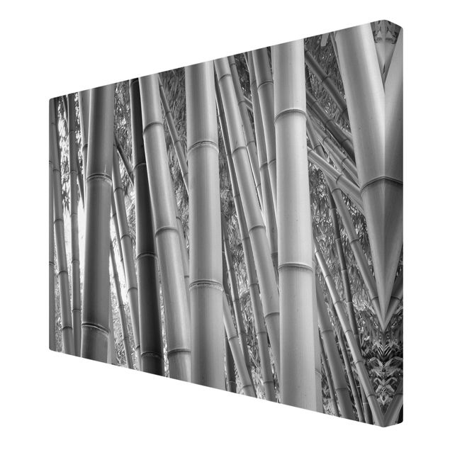 Quadri moderni   Bamboo