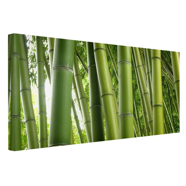 Quadri alberi Alberi di bambù