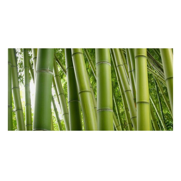 Quadri bamboo Alberi di bambù
