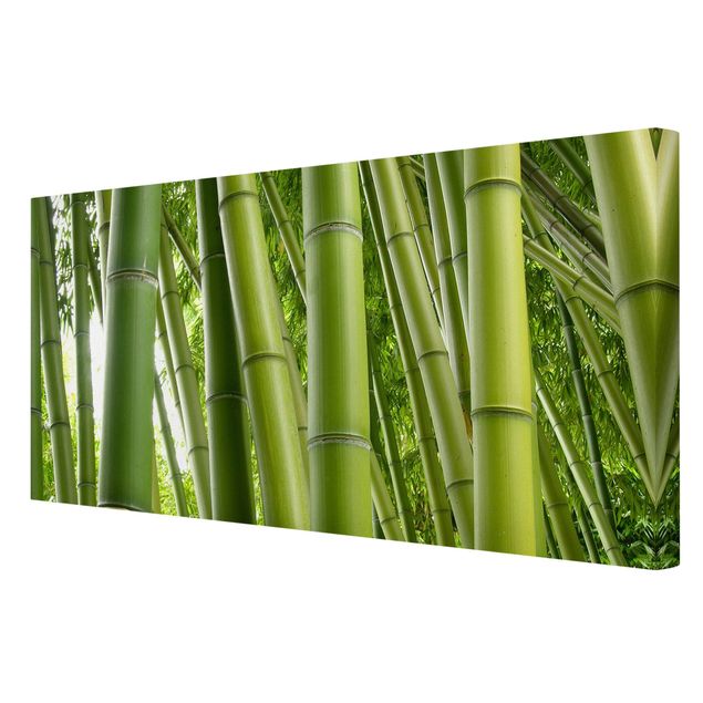 Quadro moderno Alberi di bambù