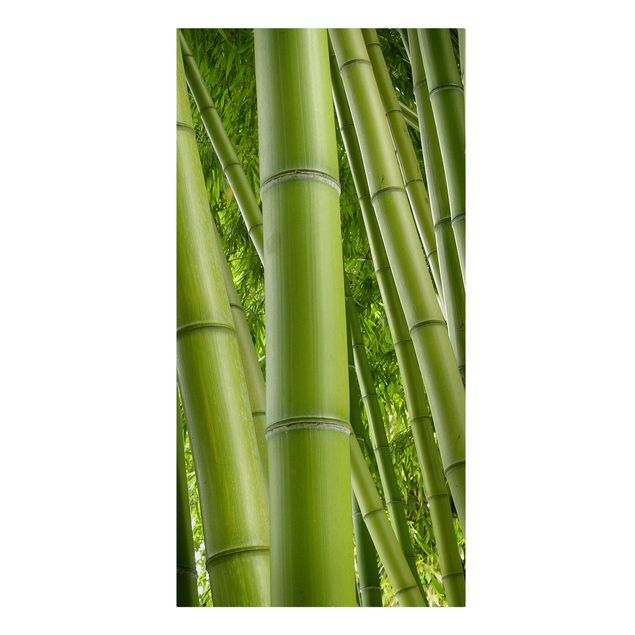 Quadro bamboo Alberi di bambù
