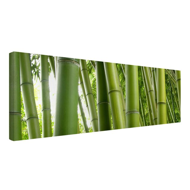 Quadri con alberi Alberi di bambù