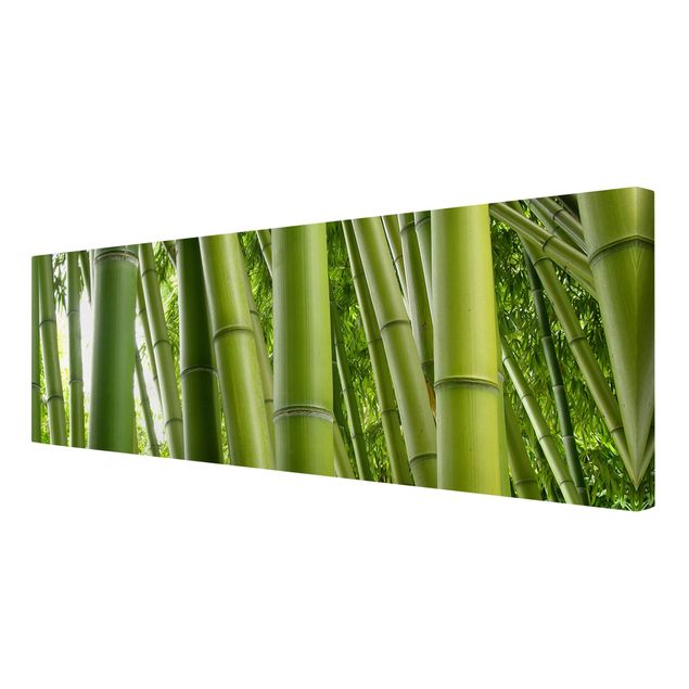 Quadri moderni per arredamento Alberi di bambù