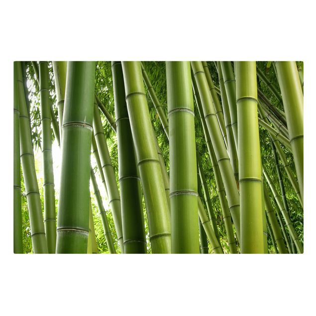 Quadri con bambù Alberi di bambù