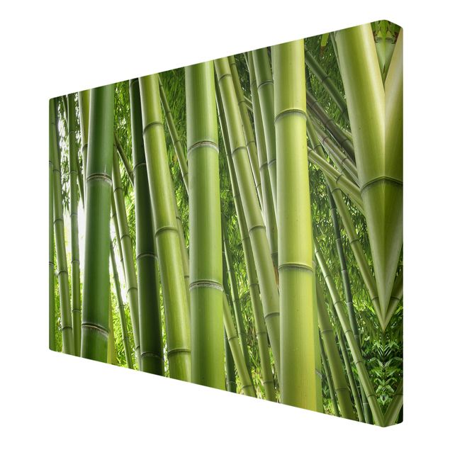 Quadri moderni per arredamento Alberi di bambù