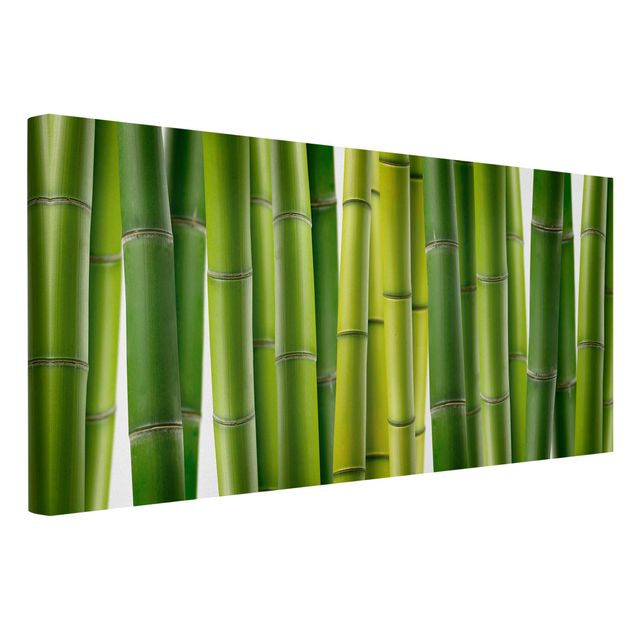 Quadri alberi Piante di bambù
