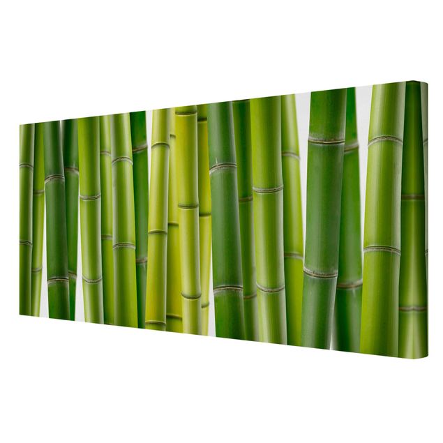 Quadro moderno Piante di bambù