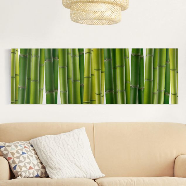 Quadri su tela con foresta Piante di bambù