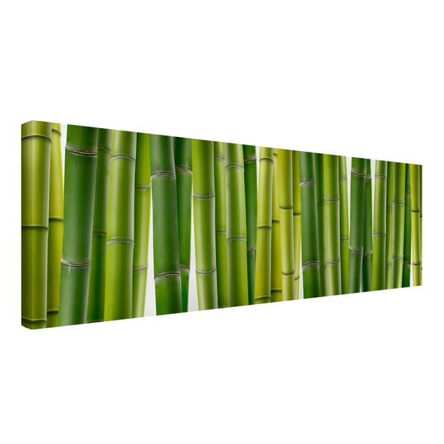 Quadro alberi Piante di bambù