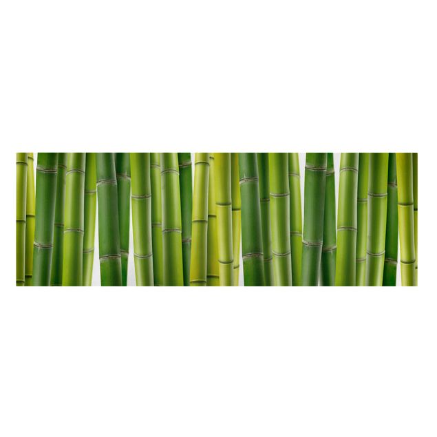 Quadro bamboo Piante di bambù