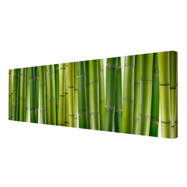 Quadri moderni   Piante di bambù