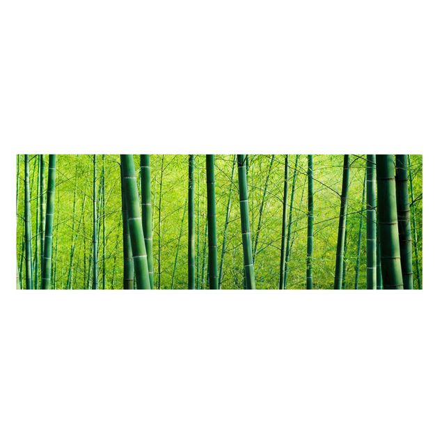 Quadro bamboo Foresta di bambù n.2