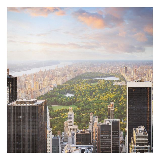Quadri skyline  Affacciata su Central Park