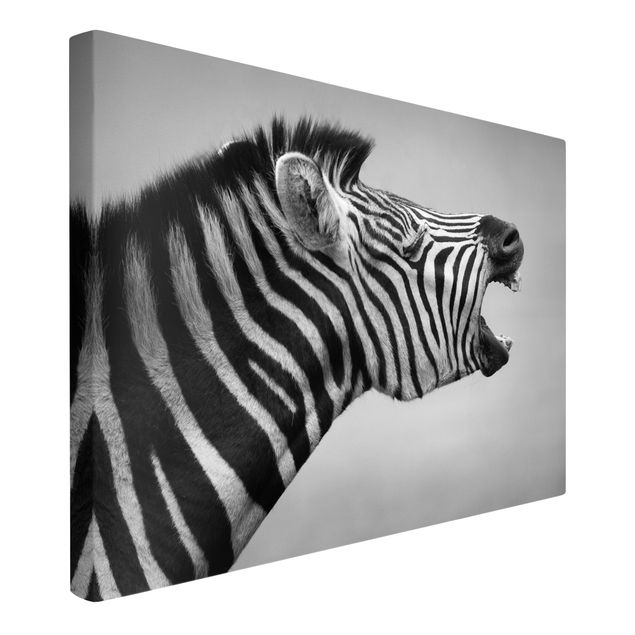 Quadri moderni per arredamento Zebra ruggente ll