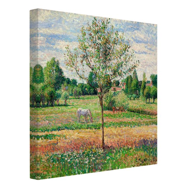 Quadro romanticismo Camille Pissarro - Prato con cavallo grigio, Eragny