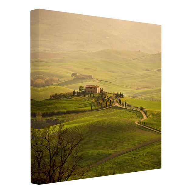 Quadri su tela paesaggio Chianti Toscana