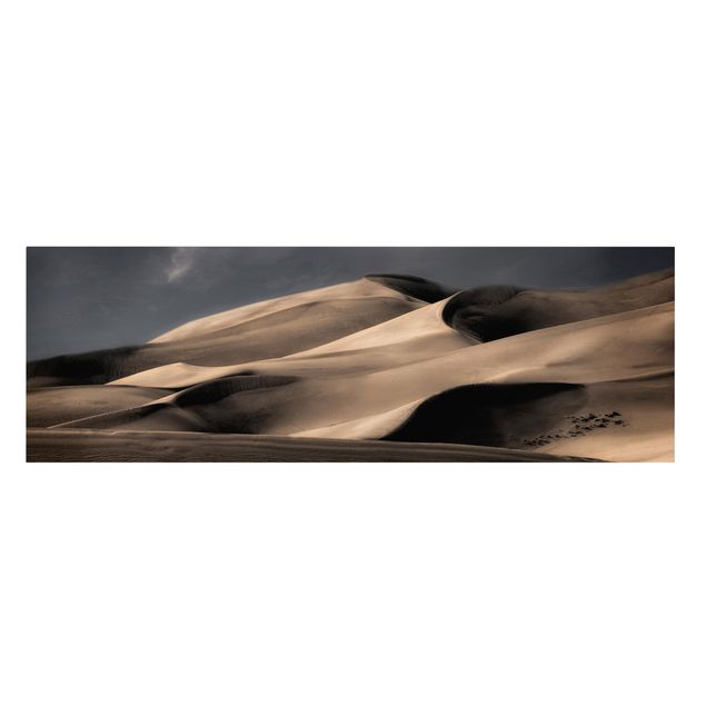 Quadri sulla natura Dune del Colorado