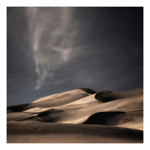 Quadro natura Dune del Colorado