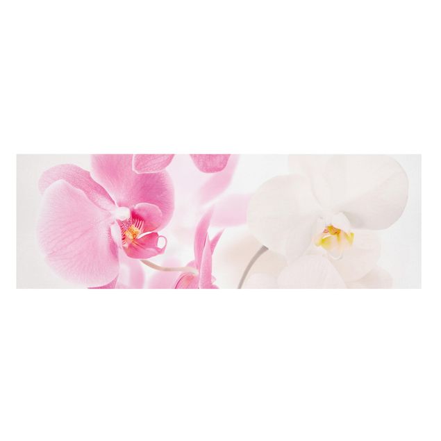 Quadri di fiori Orchidee delicate