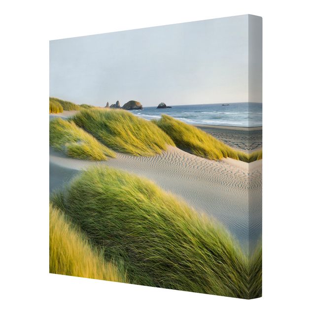 Quadri con paesaggio Dune ed erbe sul mare