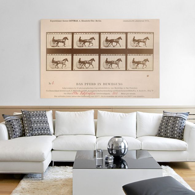 Stampe quadri famosi Eadweard Muybridge - Il cavallo in movimento