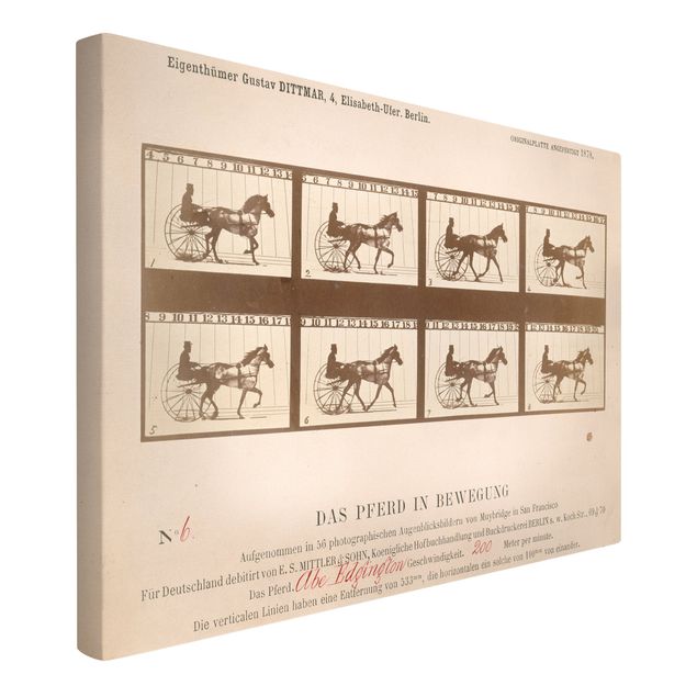 Stile di pittura Eadweard Muybridge - Il cavallo in movimento