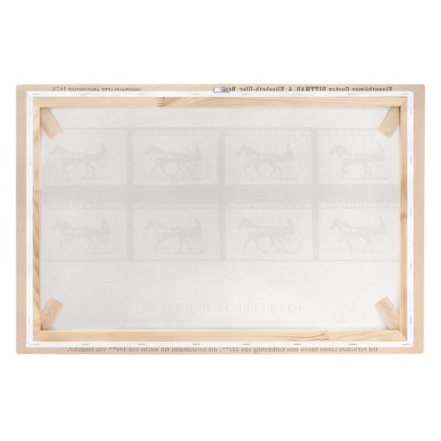 Quadri con animali Eadweard Muybridge - Il cavallo in movimento
