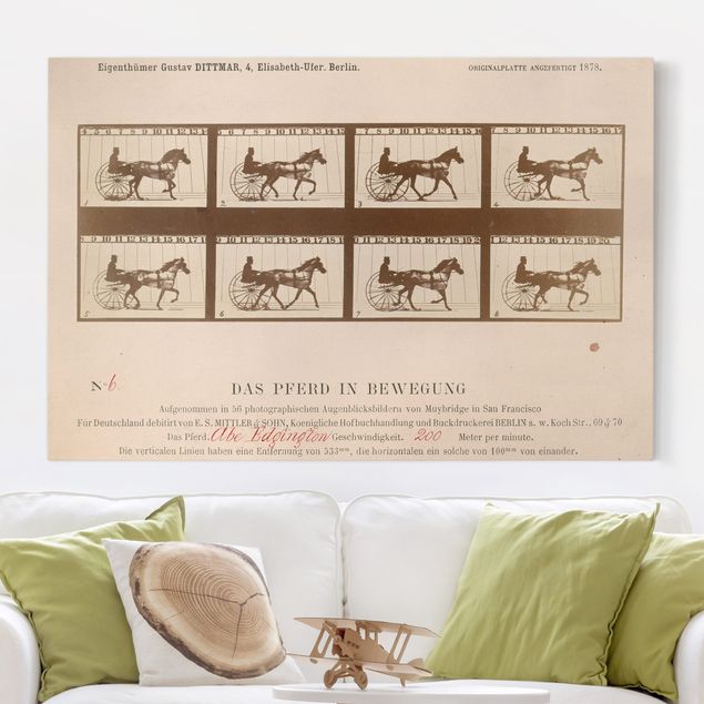 Quadri su tela con cavalli Eadweard Muybridge - Il cavallo in movimento