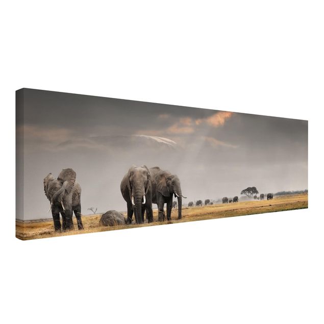 Elefante quadro Elefanti nella savana