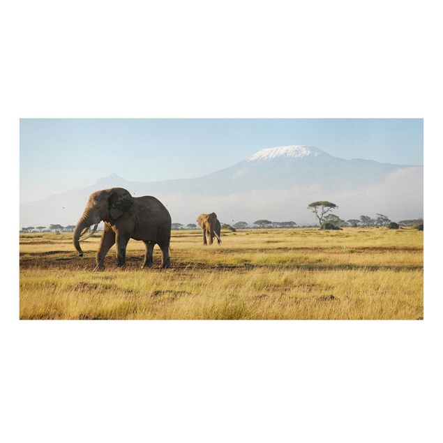 Tela africa Elefanti di fronte al Kilimangiaro in Kenya