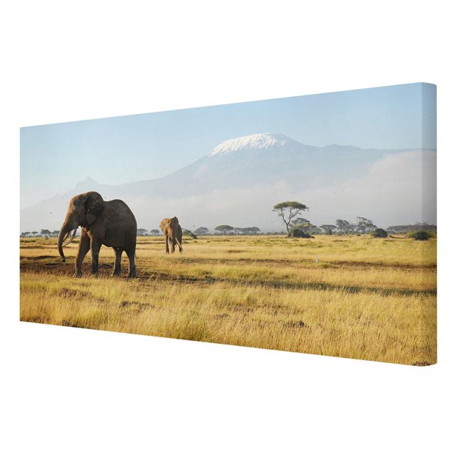 Quadri moderni per arredamento Elefanti di fronte al Kilimangiaro in Kenya