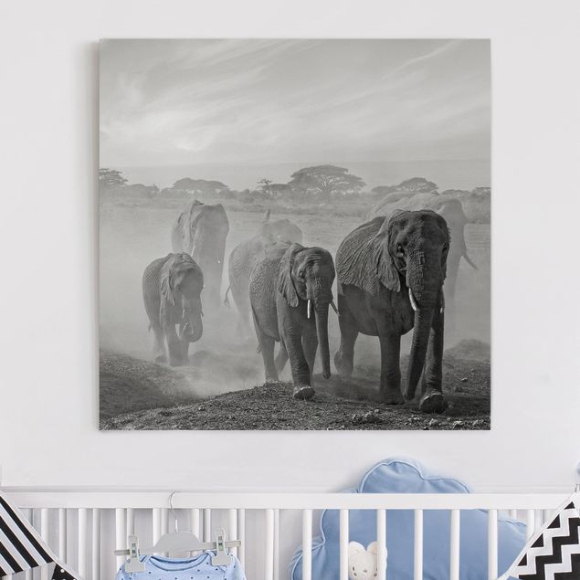 Quadri su tela con elefanti Branco di elefanti