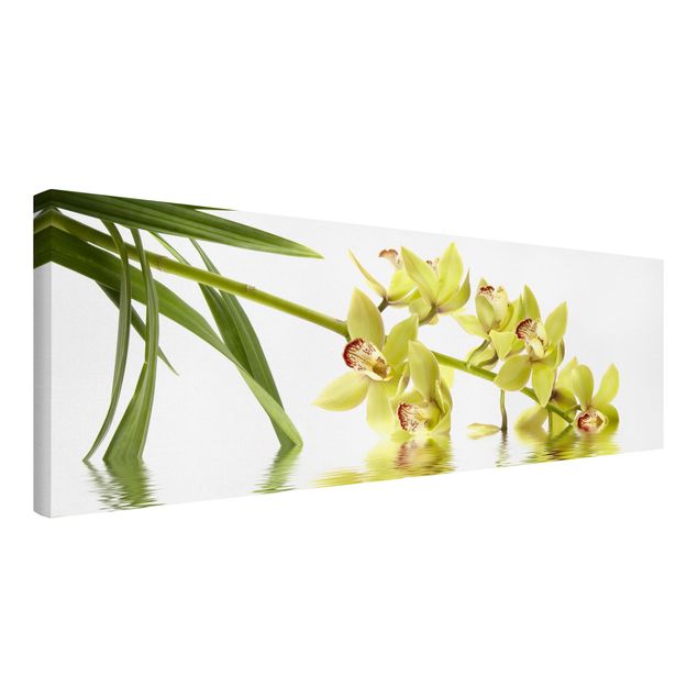 Quadro moderno Eleganti acque di orchidea