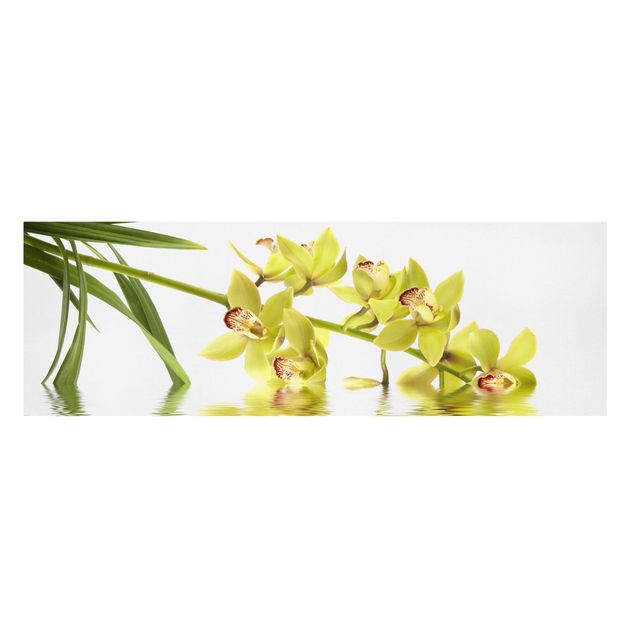 Quadri fiori Eleganti acque di orchidea