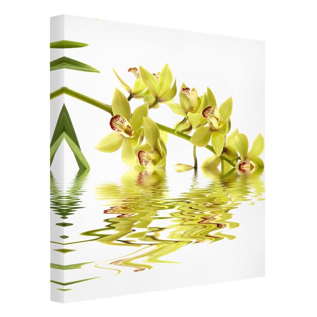 Quadri moderni   Eleganti acque di orchidea