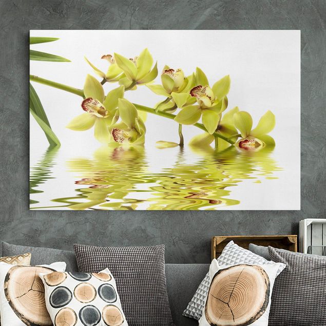 Quadri orchidee Eleganti acque di orchidea