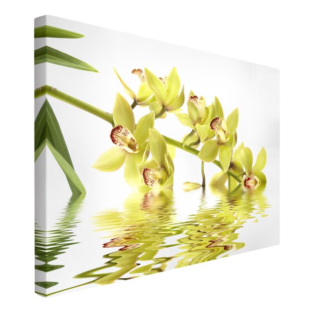 Quadri moderni per arredamento Eleganti acque di orchidea