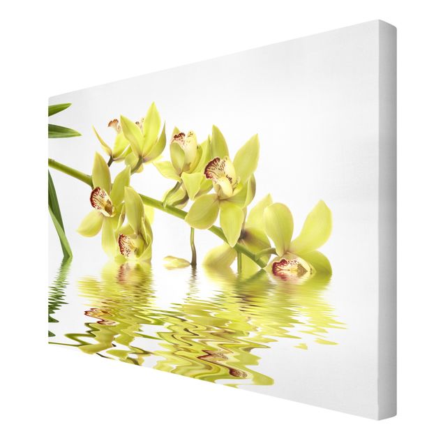 Quadri floreali moderni Eleganti acque di orchidea