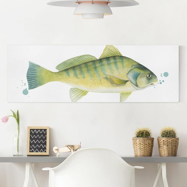 Quadri pesci Colore Cattura - Pesce persico