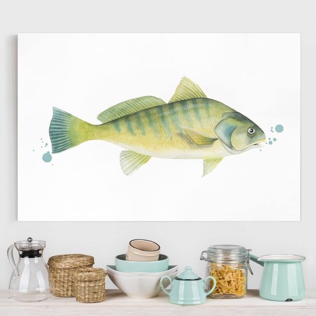 Quadri pesci Colore Cattura - Pesce persico