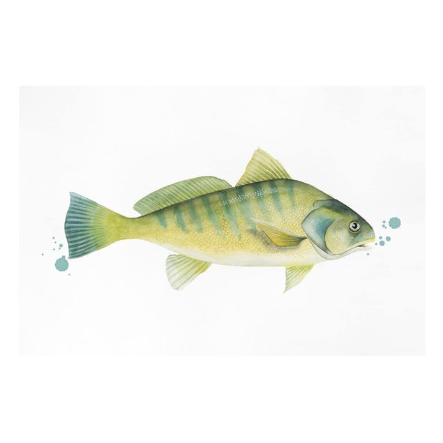 Stampe su tela animali Colore Cattura - Pesce persico