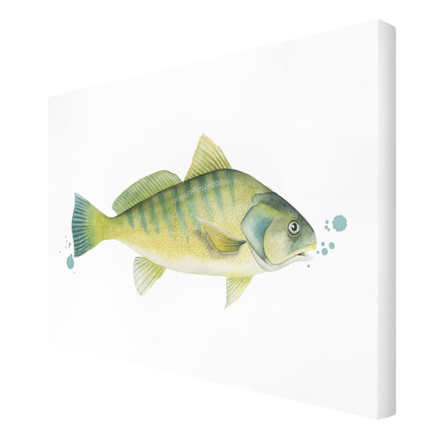 Quadri stampe Colore Cattura - Pesce persico