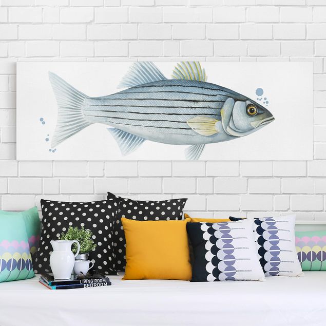 Quadri su tela con pesci Pesca a colori - Persico bianco
