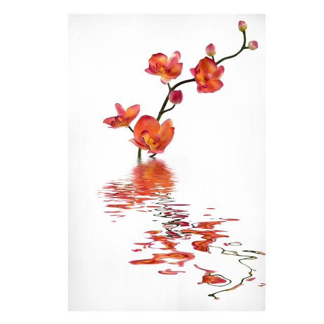 Quadri floreali moderni Acque di orchidea infuocate