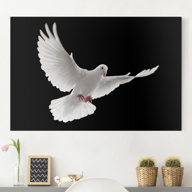 Quadri su tela con uccelli Colomba della pace