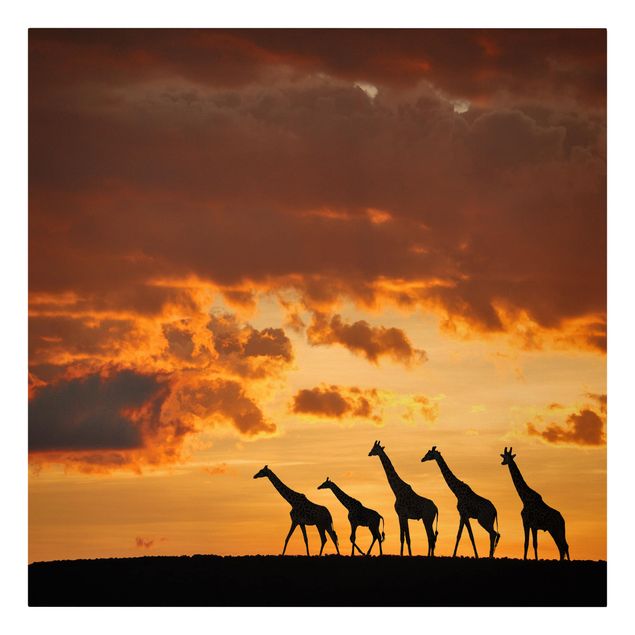 Tela africa Cinque giraffe