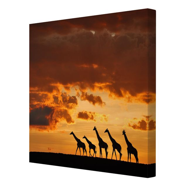 Quadri su tela paesaggio Cinque giraffe