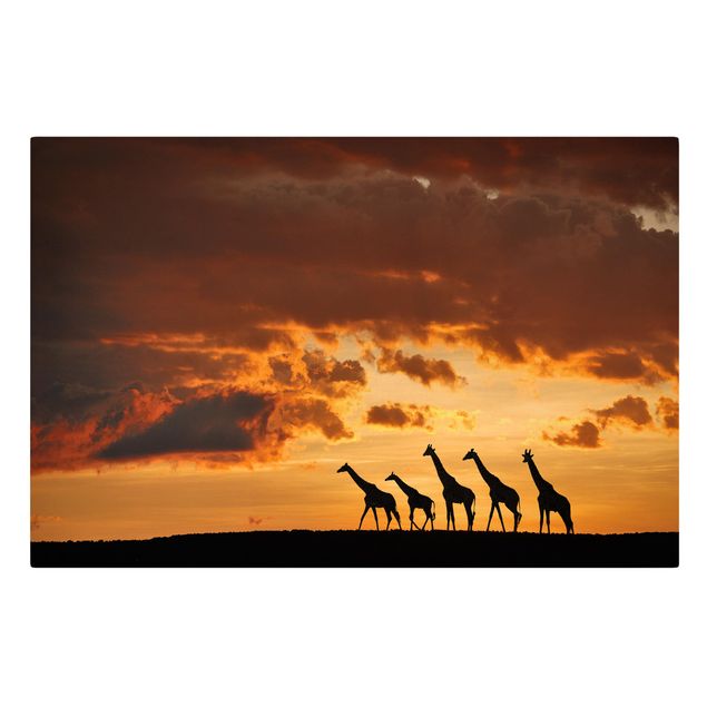 Quadri su tela Africa Cinque giraffe
