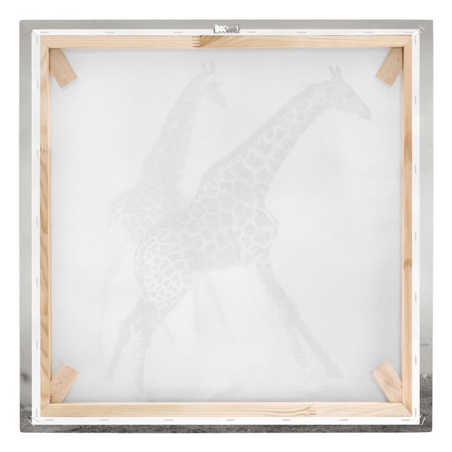 Stampe su tela Giraffe a caccia